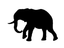 Elephant silhouette